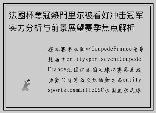 法國杯奪冠熱門里尔被看好冲击冠军实力分析与前景展望赛季焦点解析